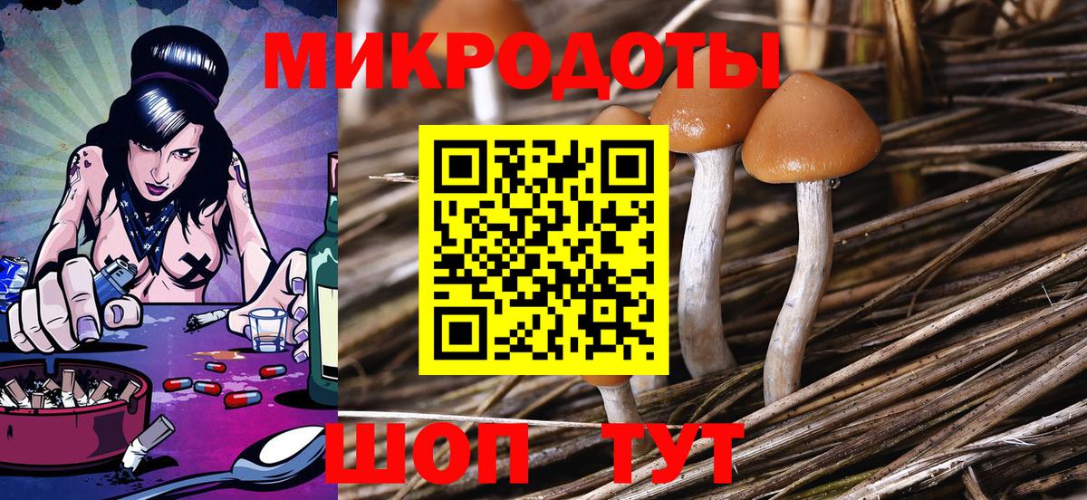 Псилоцибиновые грибы мухоморы Чебаркуль