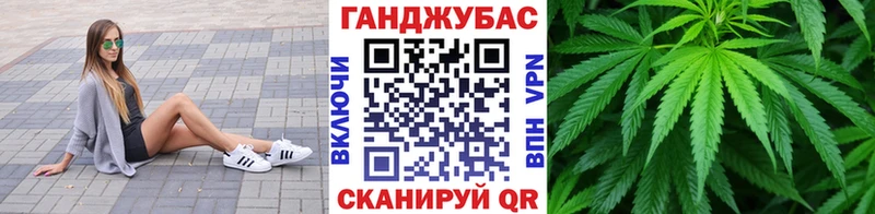 сколько стоит  Чебаркуль  Конопля MAZAR 